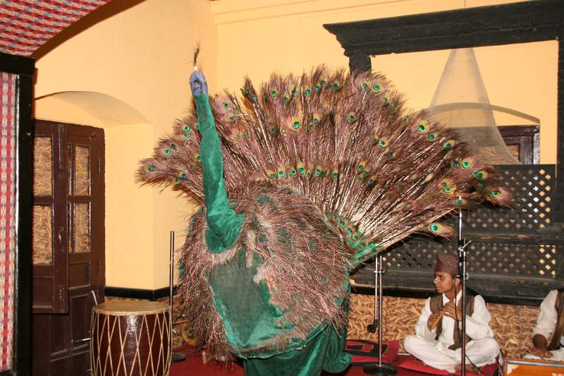 India & Nepal 2011 - 0342